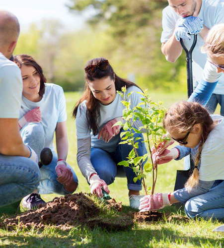 Community Participation in Hassall Grove, NSW